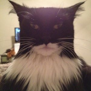 Meet your Posher, Joe